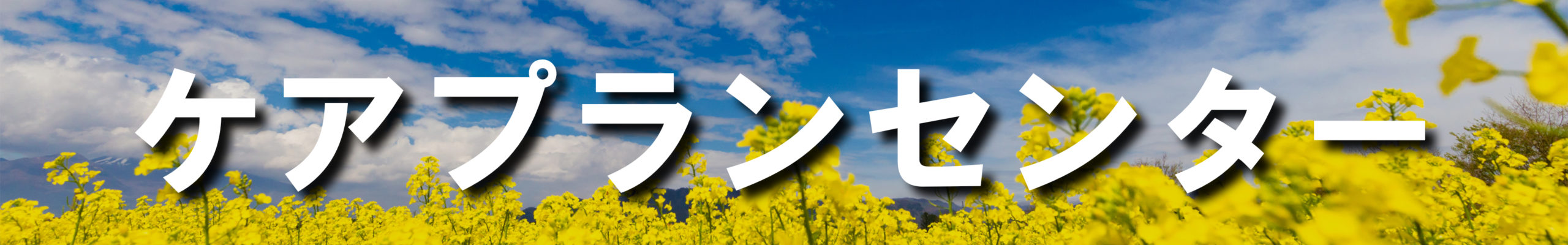 ケアプランセンター