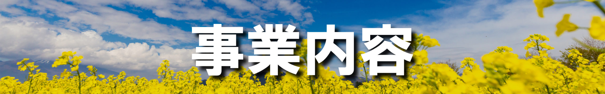事業内容